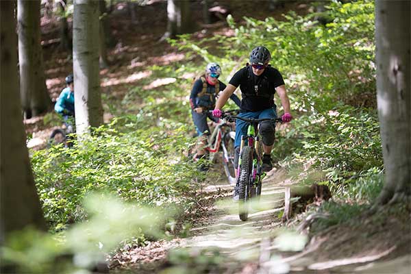 Am Trail (Foto Trailcenter Hohe Wand Wiese, Markus Frühmann)