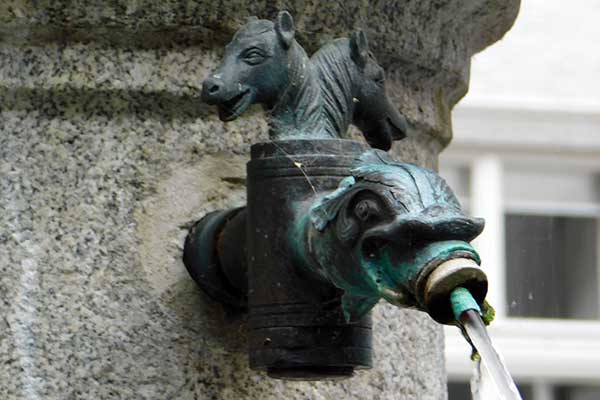 Blick auf den Brunnen im Landhaus (Detail) 