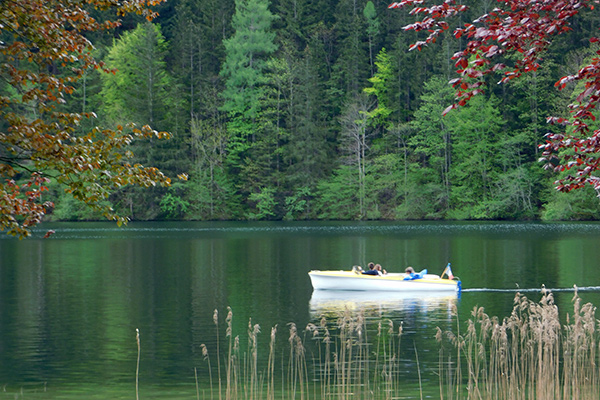  Bootfahren am Lunzer See 