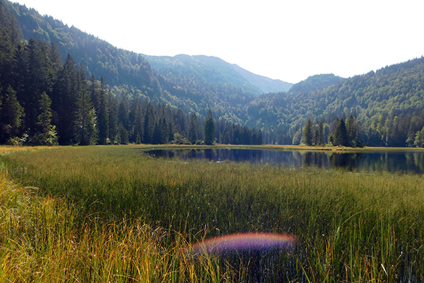 Blick auf den Oberen See 