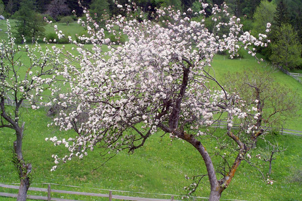 Im Frühling ist es hier besonders schön