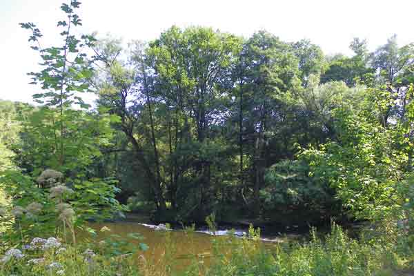 Die Thaya, Grenzfluss zwischen Österreich und Tschechien