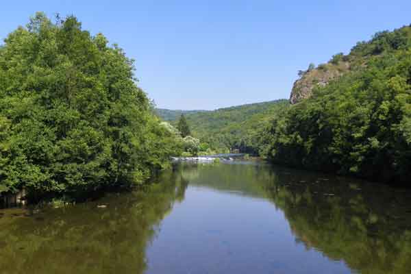 Die Thaya im Nationalpark