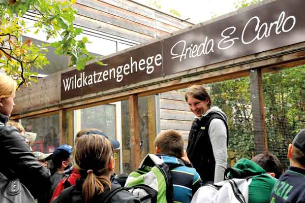 Die Wildkatzenfütterung beim Nationalparkhaus