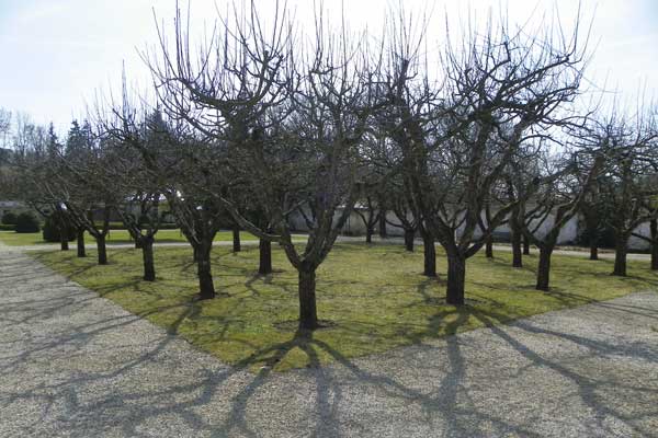 Blick in den Garten