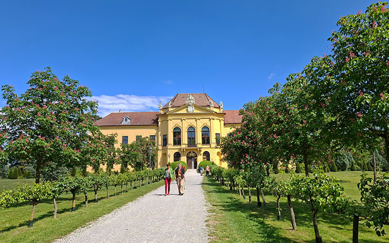 Am Weg zum Schloss Eckartsau
