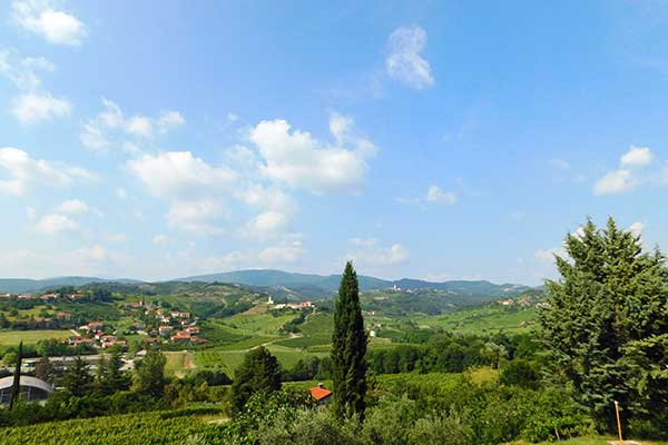 Blick in die Landschaft