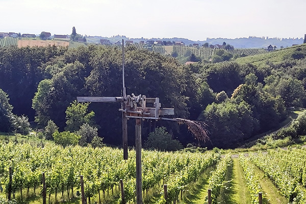 Weinberge wohin man schaut und der berühmte Klapotetz