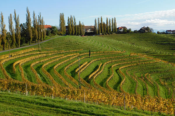 Die slowenische Toscana