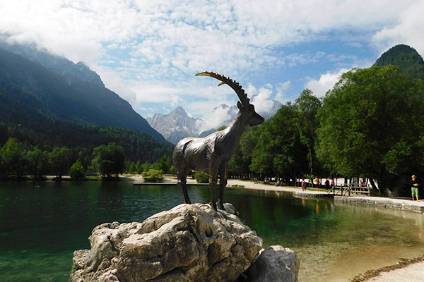 Der Steinbock gilt als Maskottchen