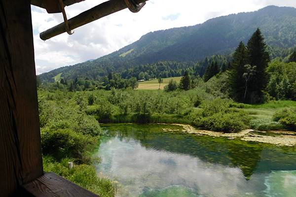 Vom Aussichtsturm kann man auf den See blicken