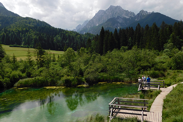 Mehrere Aussichtsplattformen lassen Blicke auf den See zu