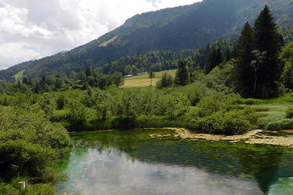 Blick auf den See