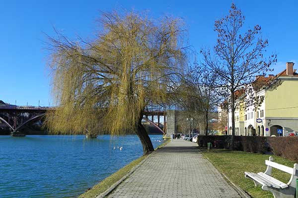 Ein Spaziergang am Lent an der Drau 