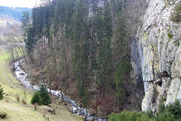 Blick von der Burg auf den Fluß