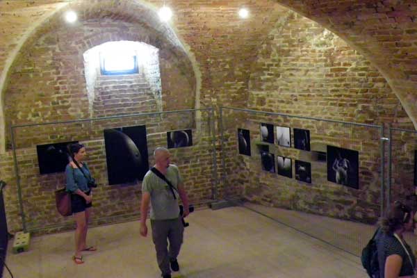 Ein Blick in die Fotoausstellung