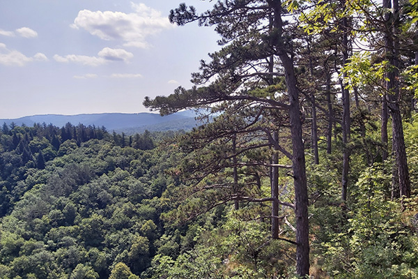 Blick vom Lehrpfad in die Landschaft