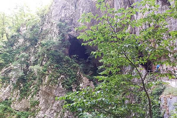 Ein Eingang in eine Höhle?