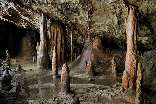 Im Paradies - Nomen est omen (Foto: Škocjan Cave Park PŠJ, Borut Lozej)