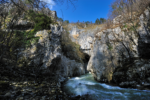 Blick in die Schlucht - die Reka verschwindet (Foto: Škocjan Cave Park PŠJ, Borut Lozej)
