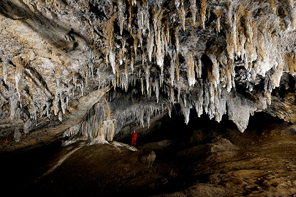 Blick in die Tominc-Höhle (Foto: Škocjan Cave Park PŠJ, Borut Lozej)