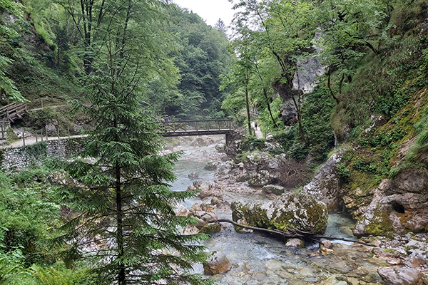 Wasserrauschen überall