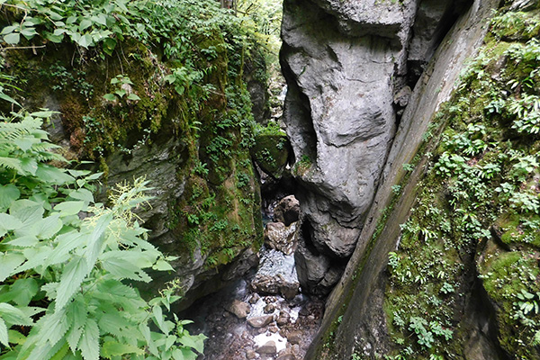 Sieht hier am Foto sehr klein aus, ist aber in Wirklichkeit recht beeindruckend