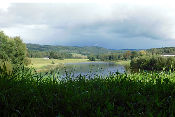 Blick zum Teich