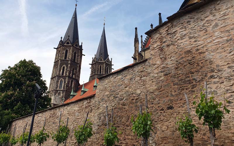 Blick zur Kathedrale vom Gemeindegarten aus