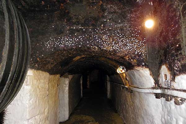 Münzen glitzern im Edelschimmel