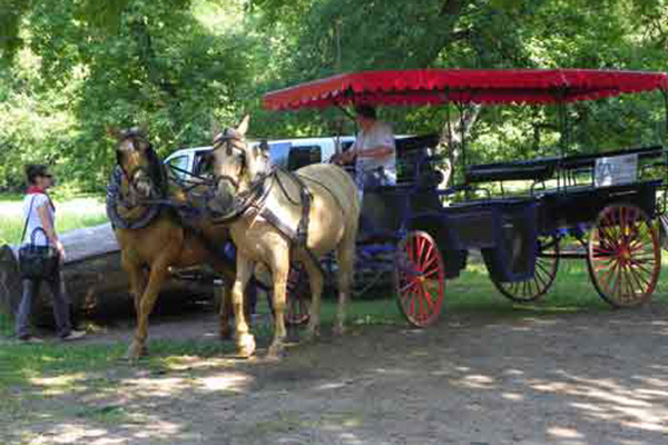 Mit der Kutsche durch den Park