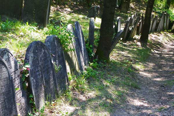 Am Jüdischen Friedhof in Mikulov 