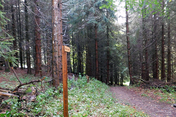 Am Weg zur Kapelle