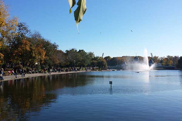 Blick auf den Teich im Stadtwäldchen