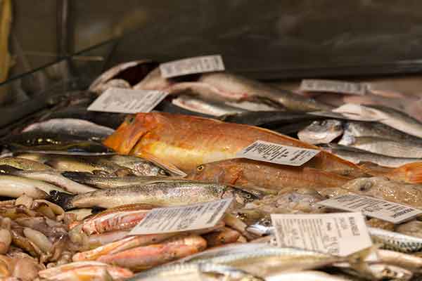 Ein Fischangebot wie in Kroatien am Meer