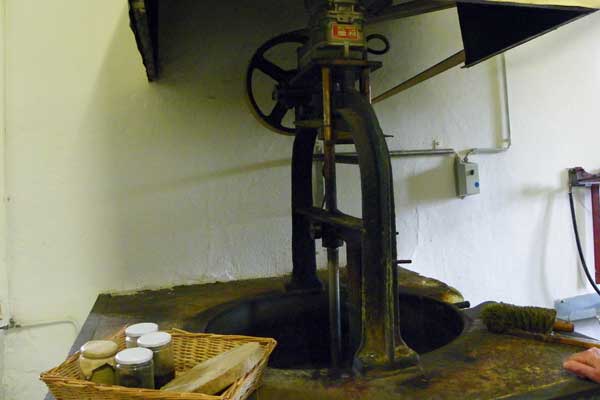 Bei der Führung in der Berghofer Mühle