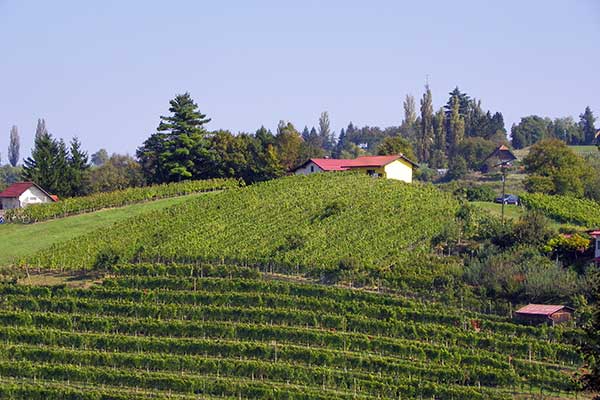 Die Gegend erinnert an die Toscana