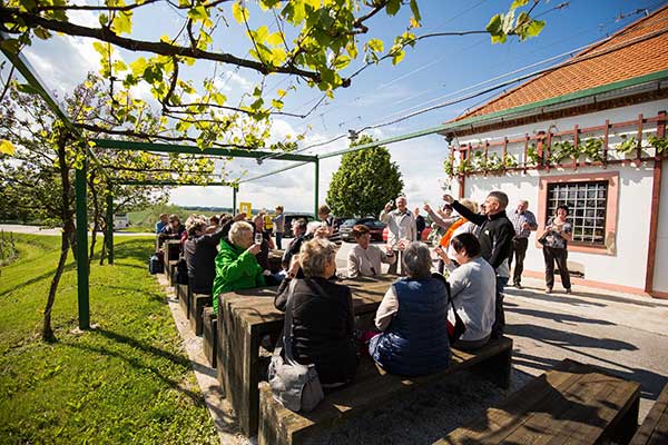 Weinverkosten auf der Terrasse des Winzerhauses Malek