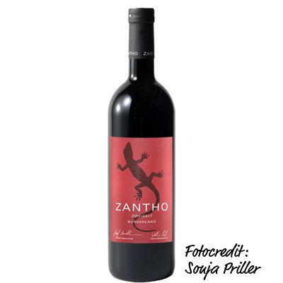 Ein ausgezeichneter Zweigelt aus dem Hause Zantho