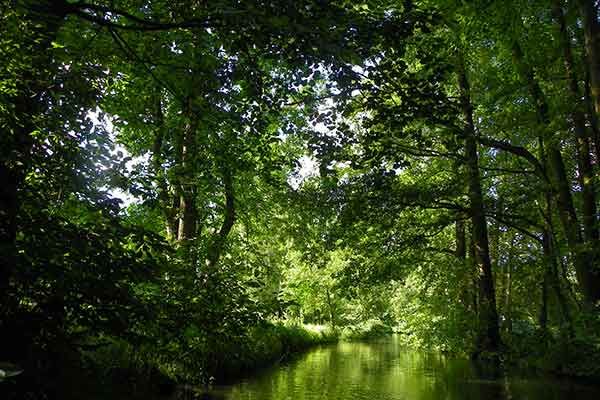 Ein Highlight: Mit dem Boot durch die Fließen im Spreewald