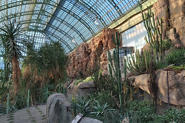 Blick ins Innere des Wüstenhauses in Schönbrunn