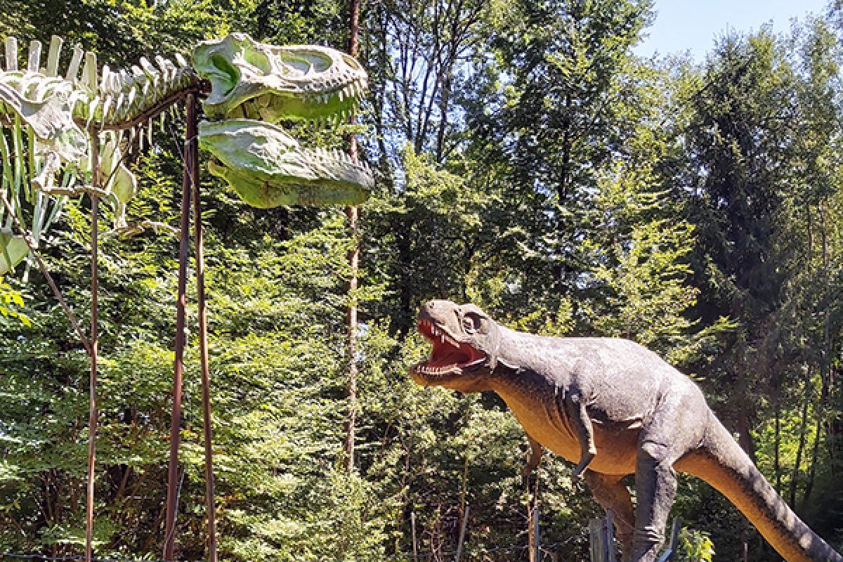 Auch heuer waren wir wieder bei den Dinos