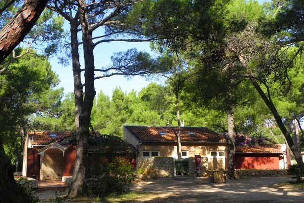 Der Campingplatz Čikat liegt wunderschön auf der Insel Lošinj