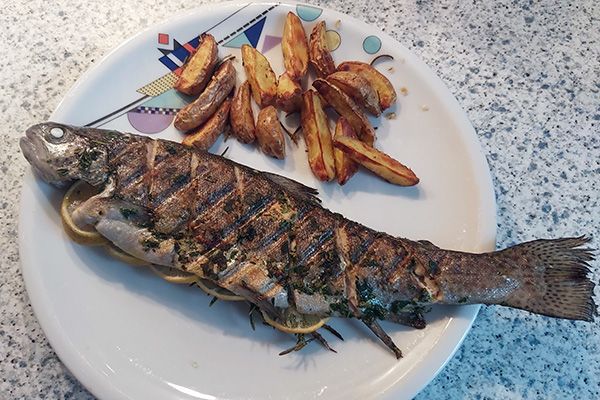 Gegrillter Fisch