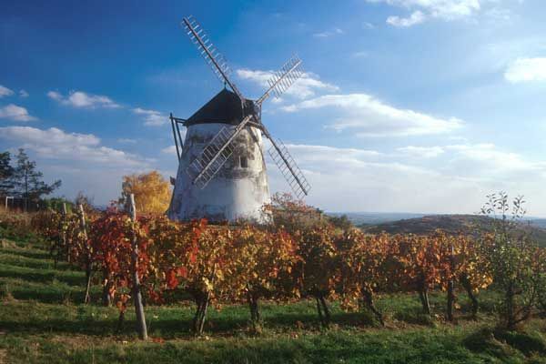 Die Retzer Windmühle