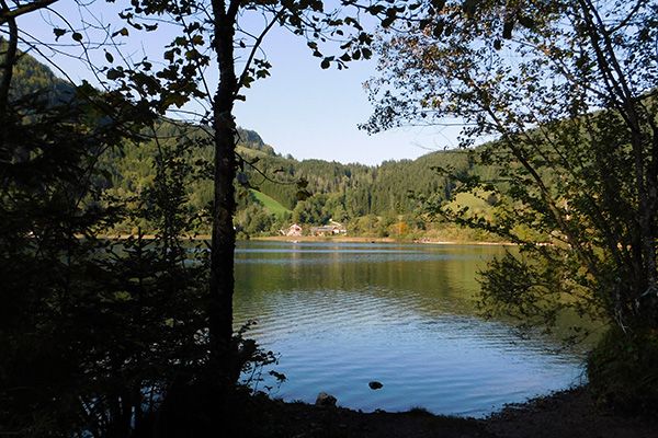 Beim Rundgang um den Lunzer See