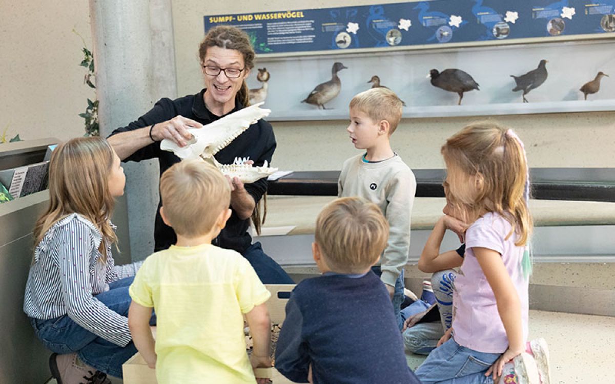 Museumsakademie für Kids (Foto © NÖ Museum Betriebs GmbH, Daniel Hinterramskogler)
