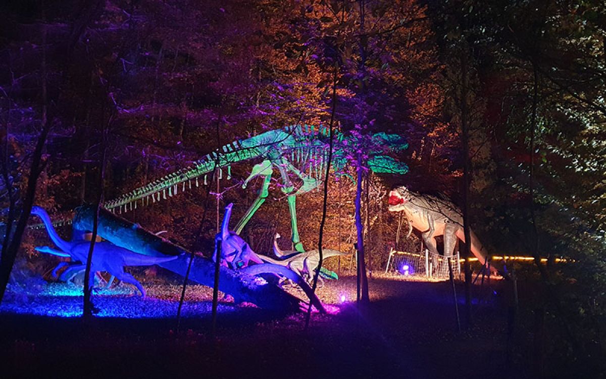 Nächtens im Styrassic Park