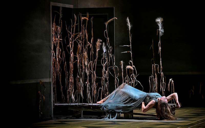 images/freizeittipps/konzert_theater_oper/2024/rusalka_brno/rusalka4.jpg#joomlaImage://local-images/freizeittipps/konzert_theater_oper/2024/rusalka_brno/rusalka4.jpg?width=800&height=500