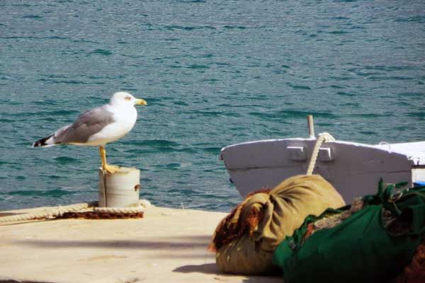 Ein Dörfchen in Kroatien am Peljesac